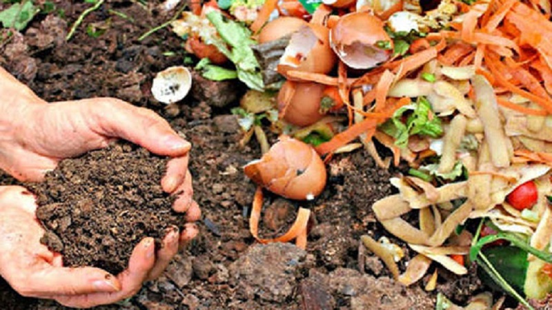 imagen de un compost